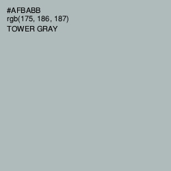 #AFBABB - Tower Gray Color Image